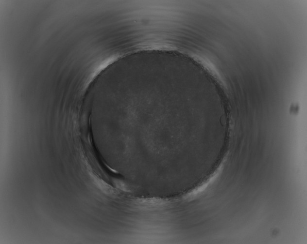 X0000094940881200712131557