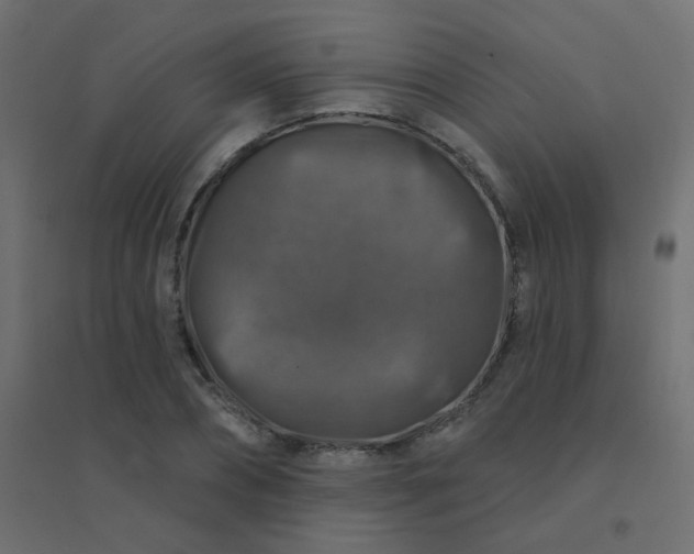 X0000094940882200712131557