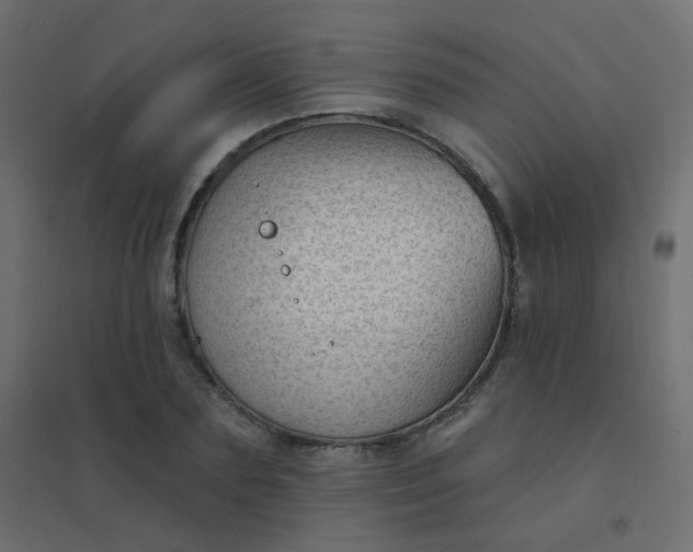 X0000094940883200712131557