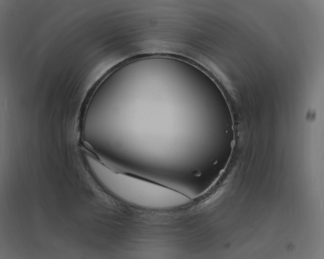 X0000094940885200712131557