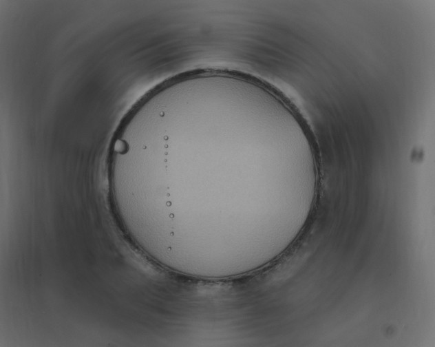 X0000094940887200712131557