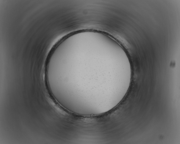 X0000094940888200712131557