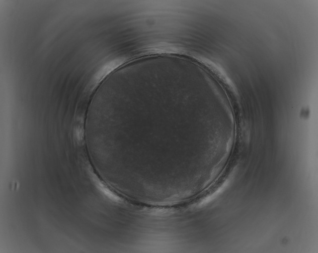 X0000094940889200712131557