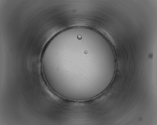 X0000094940890200712131557