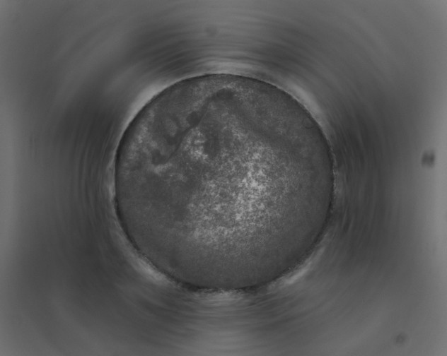 X0000094940891200712131557