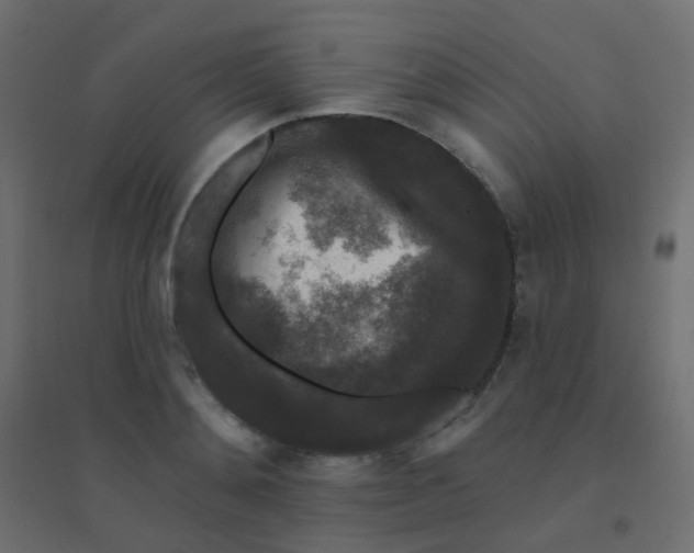 X0000094940892200712131557