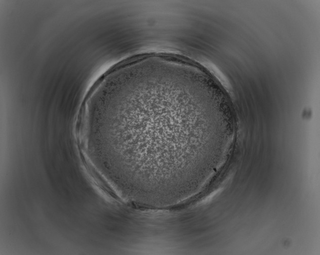 X0000094940893200712131557