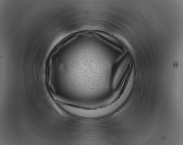 X0000094940894200712131557