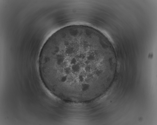 X0000094940895200712131557