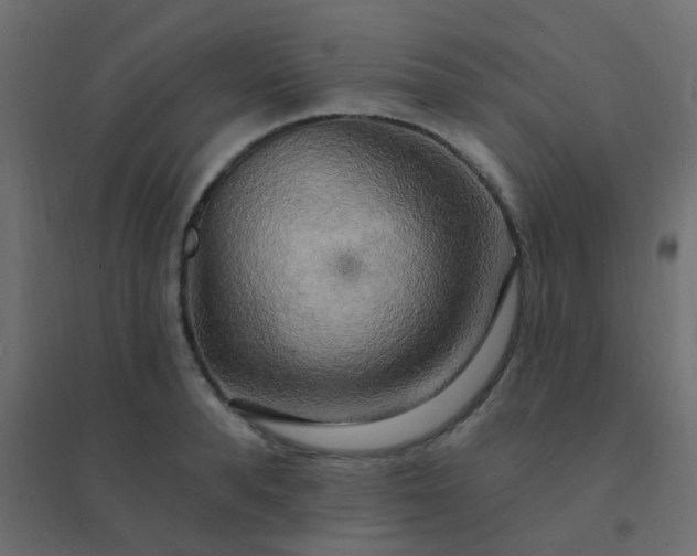 X0000094940896200712131557