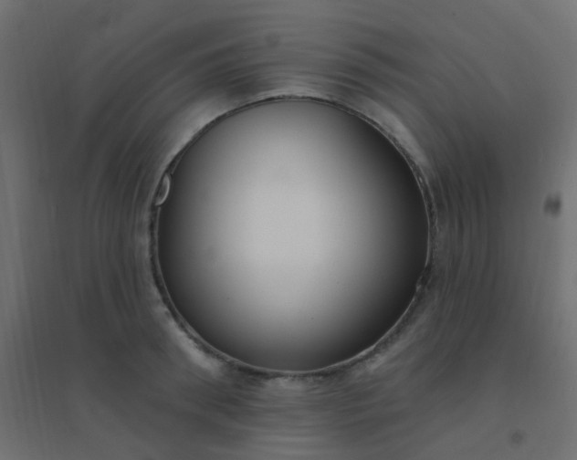 X0000094940898200712131557