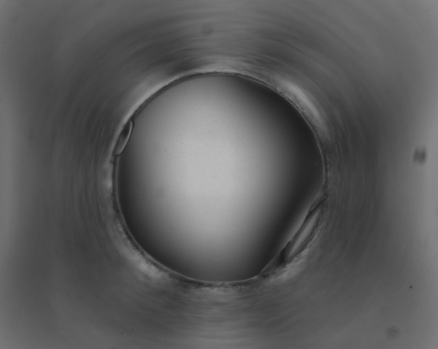 X0000094940900200712131557