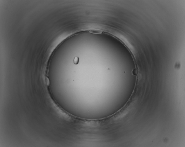 X0000094940901200712131557