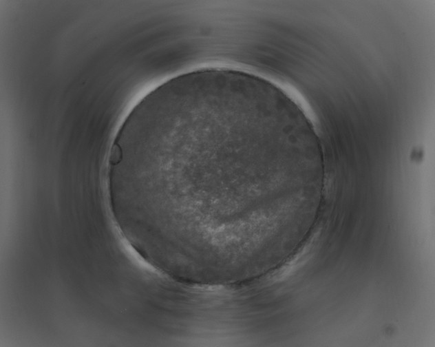 X0000094940903200712131557