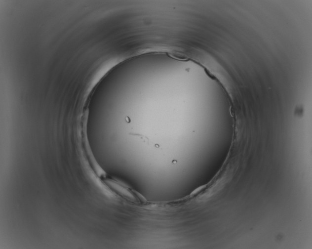 X0000094940906200712131557