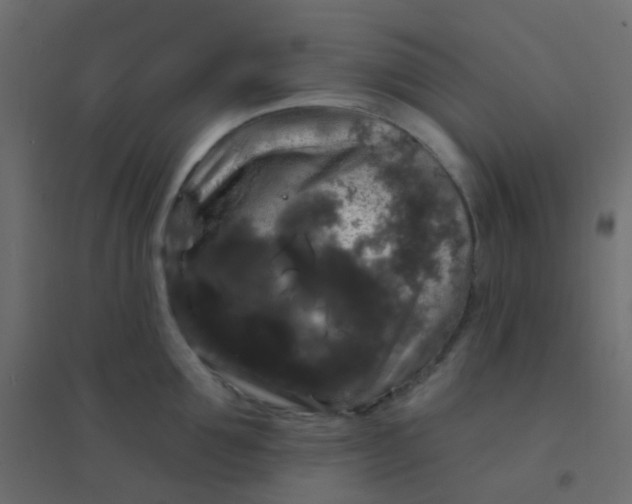 X0000094940907200712131557