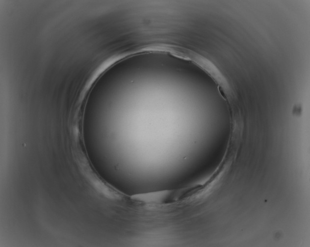 X0000094940908200712131557