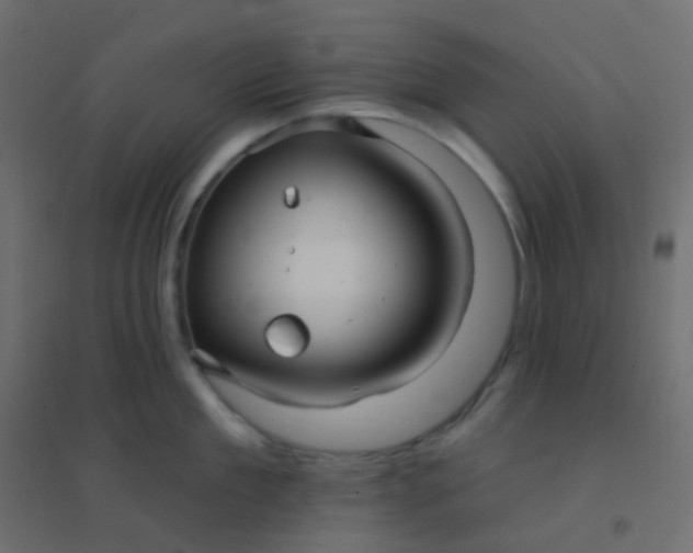 X0000094940909200712131557