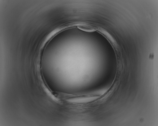 X0000094940910200712131557