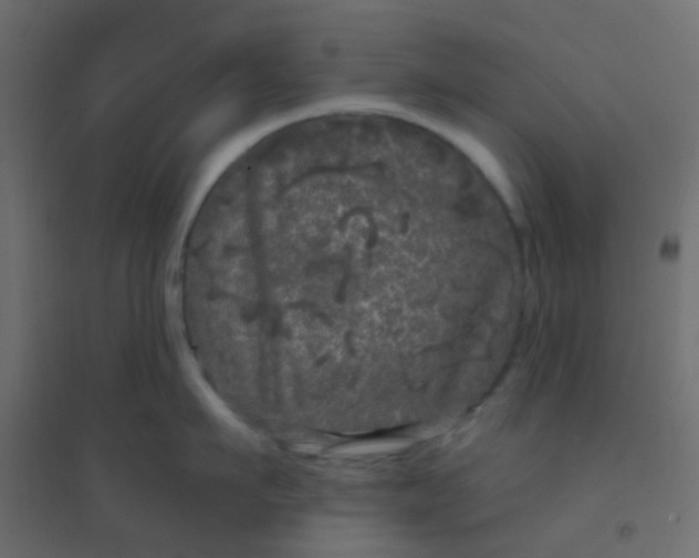 X0000094940911200712131557