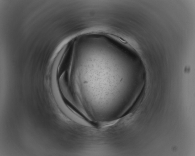 X0000094940912200712131557