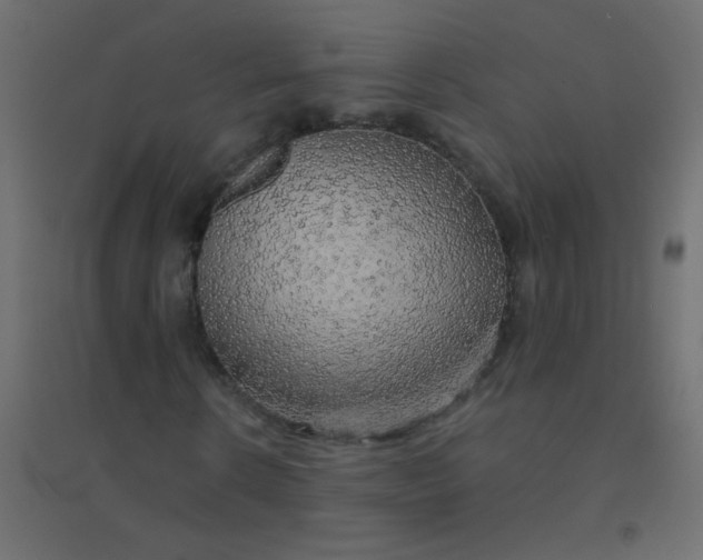 X0000094940914200712131556