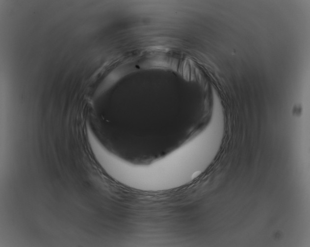 X0000094940915200712131556