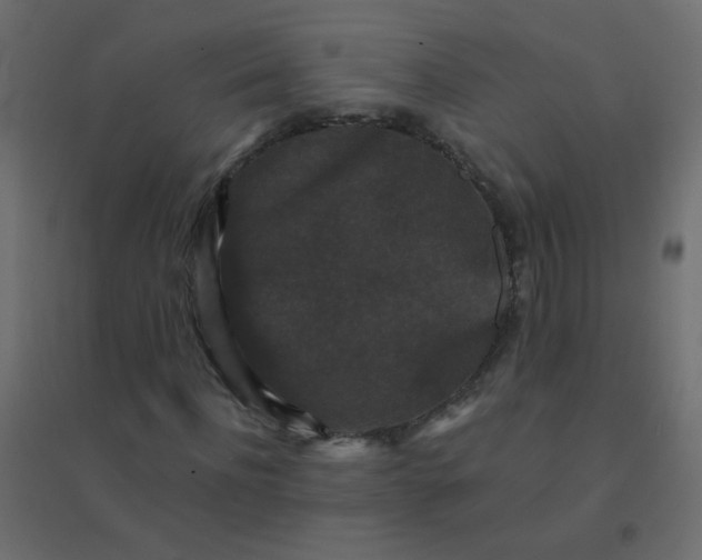 X0000094940916200712131556