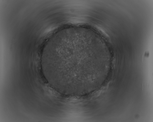 X0000094940917200712131556