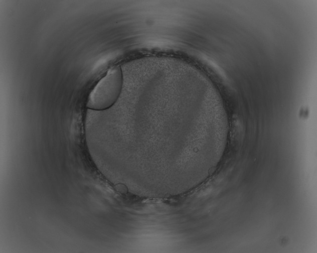 X0000094940918200712131556