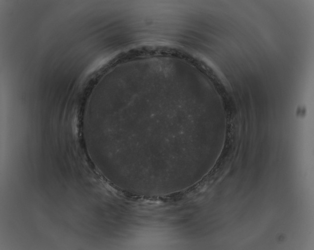 X0000094940919200712131556