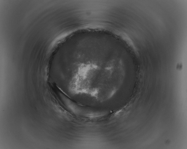 X0000094940920200712131556