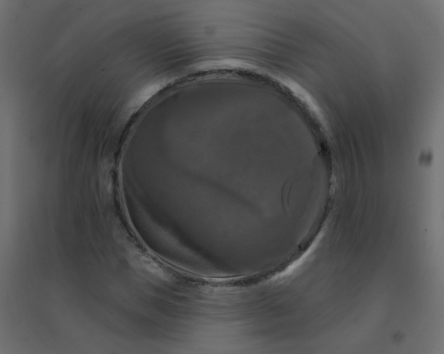 X0000094940921200712131556