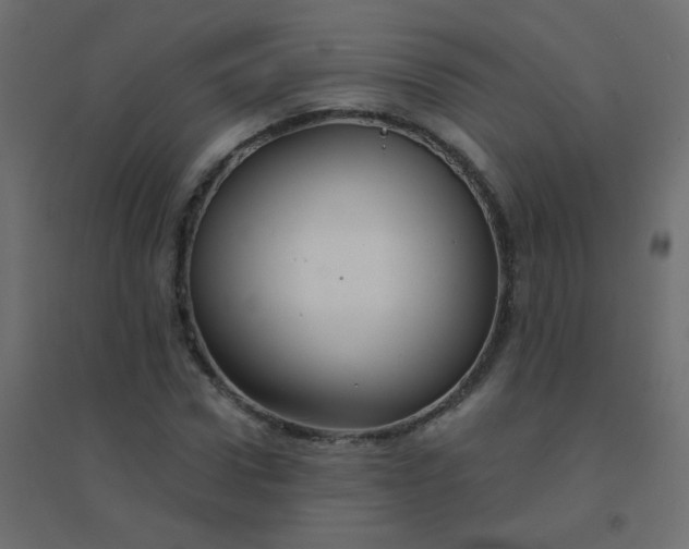 X0000094940922200712131556