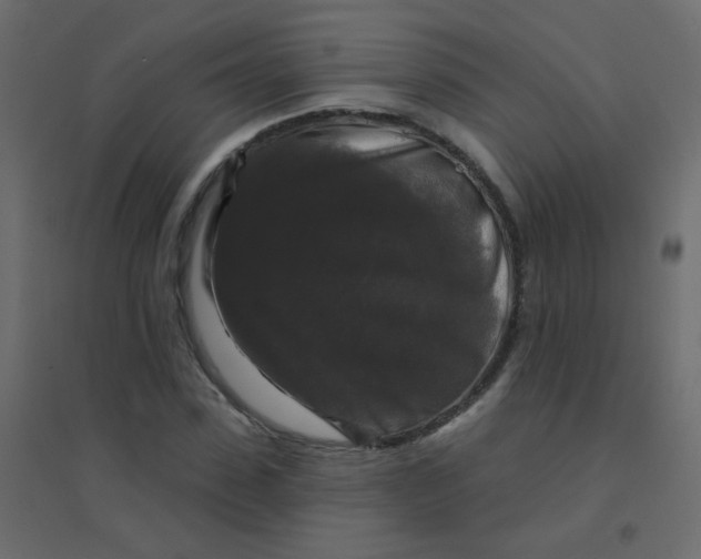 X0000094940923200712131556