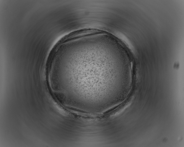 X0000094940924200712131556