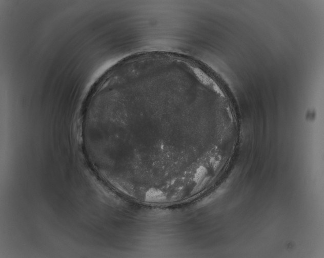 X0000094940925200712131556