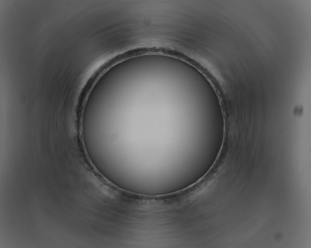 X0000094940927200712131556