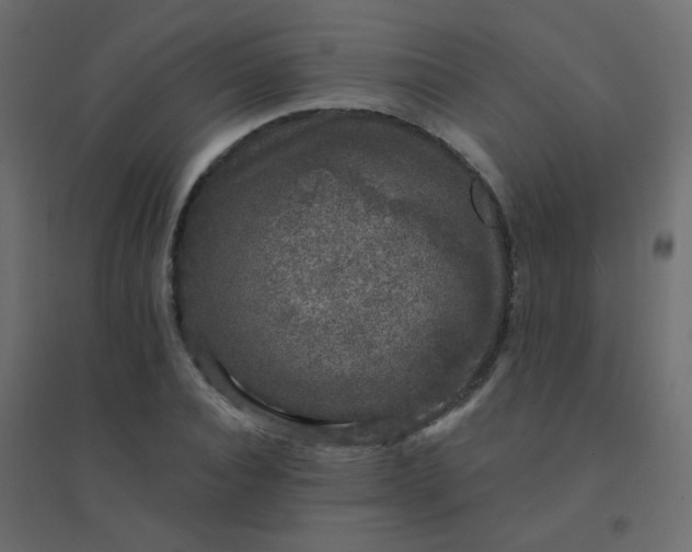 X0000094940928200712131556