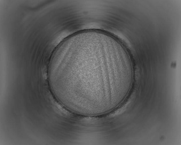 X0000094940929200712131556