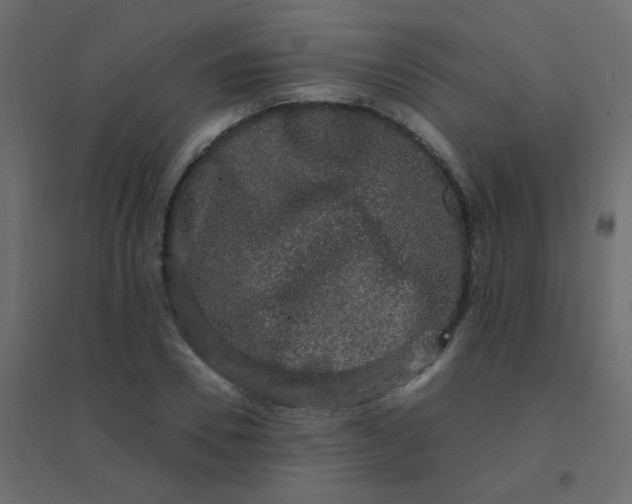 X0000094940930200712131556