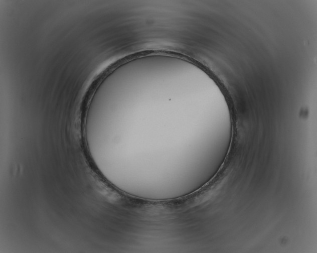 X0000094940931200712131556