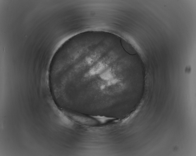 X0000094940932200712131556