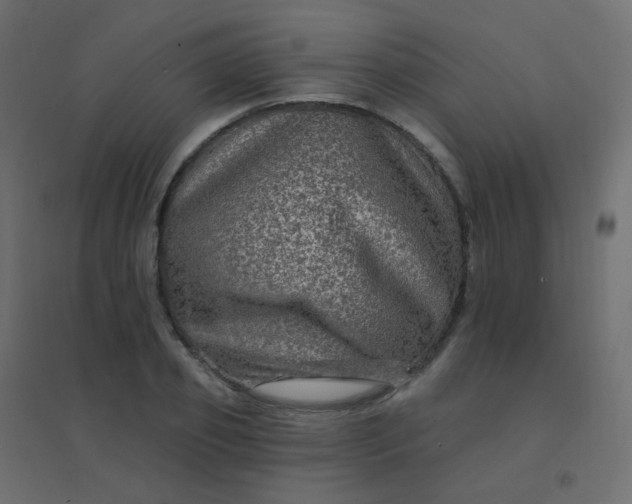 X0000094940933200712131556