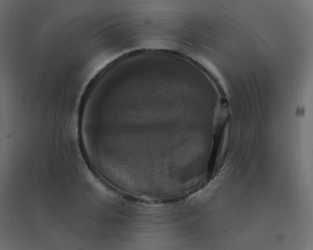 X0000094940935200712131556