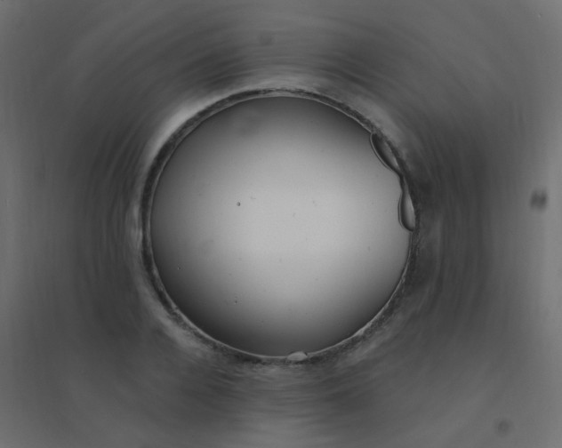 X0000094940936200712131556