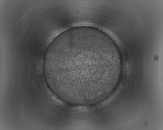 X0000094940937200712131556