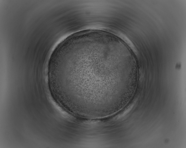 X0000094940939200712131556