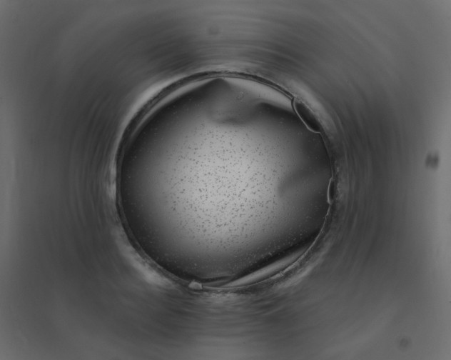 X0000094940940200712131556