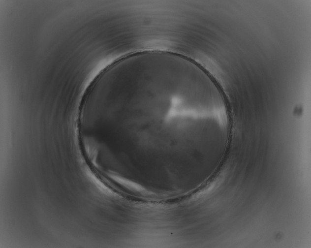 X0000094940941200712131556